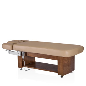 Электрический стационарный массажный стол Mizomed Alexander A-Salon