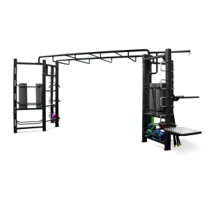 Функциональный комплекс с рукоходом Bronze Gym Partner FL-01