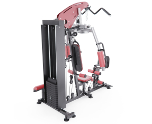 Силовой комплекс DFC D7009